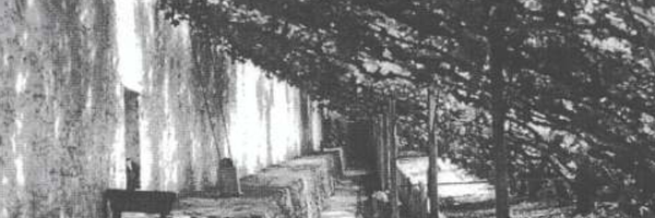 AnneHamilton7 Profile Banner