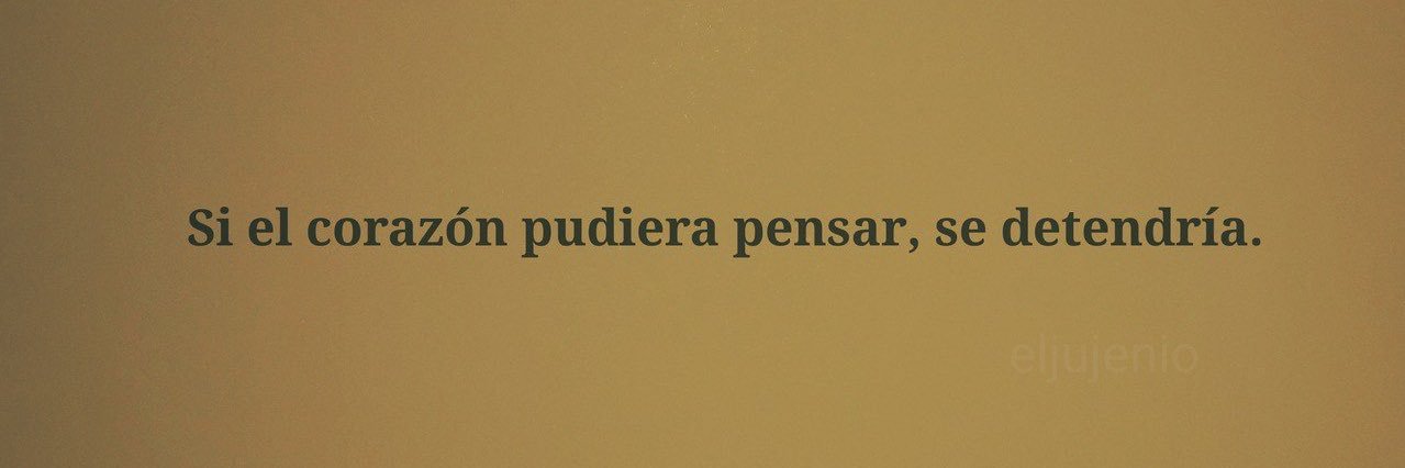 Nayeli Lizárraga banner