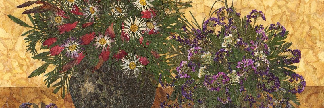 finemi's profile banner image