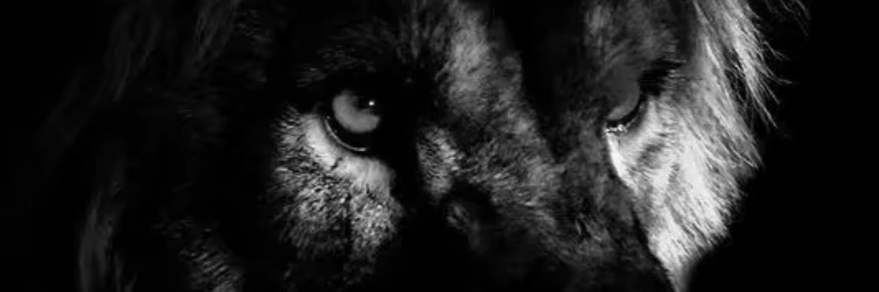 M63M85's profile banner image