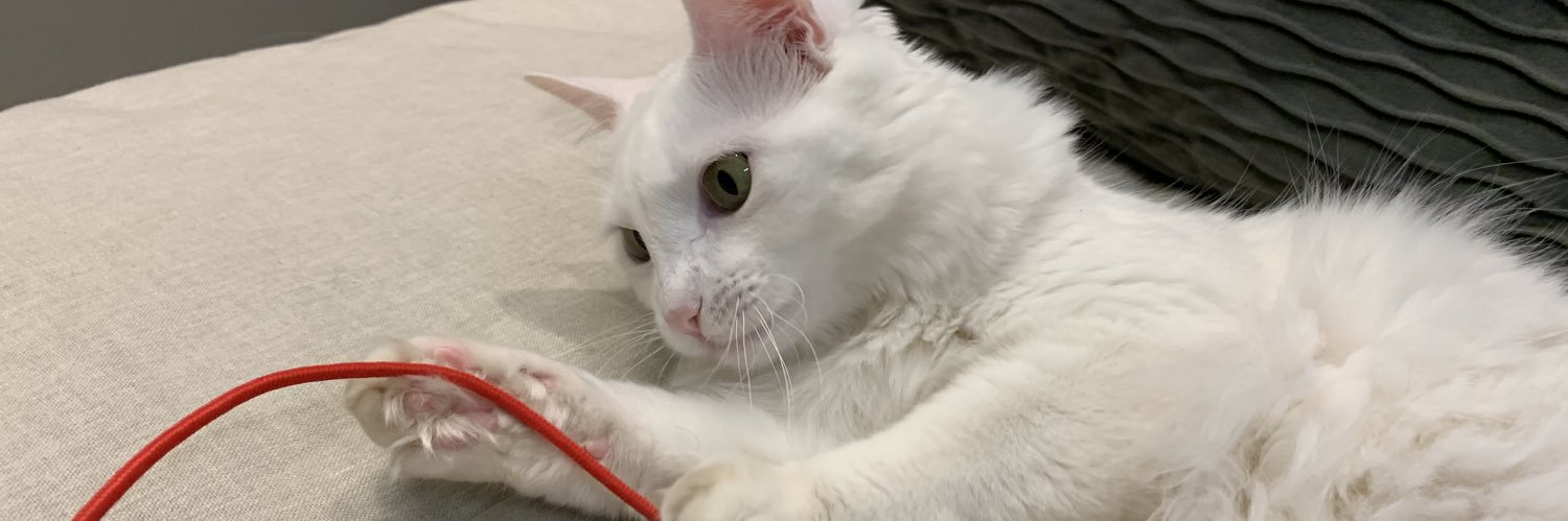 lucstrobel_'s profile banner image