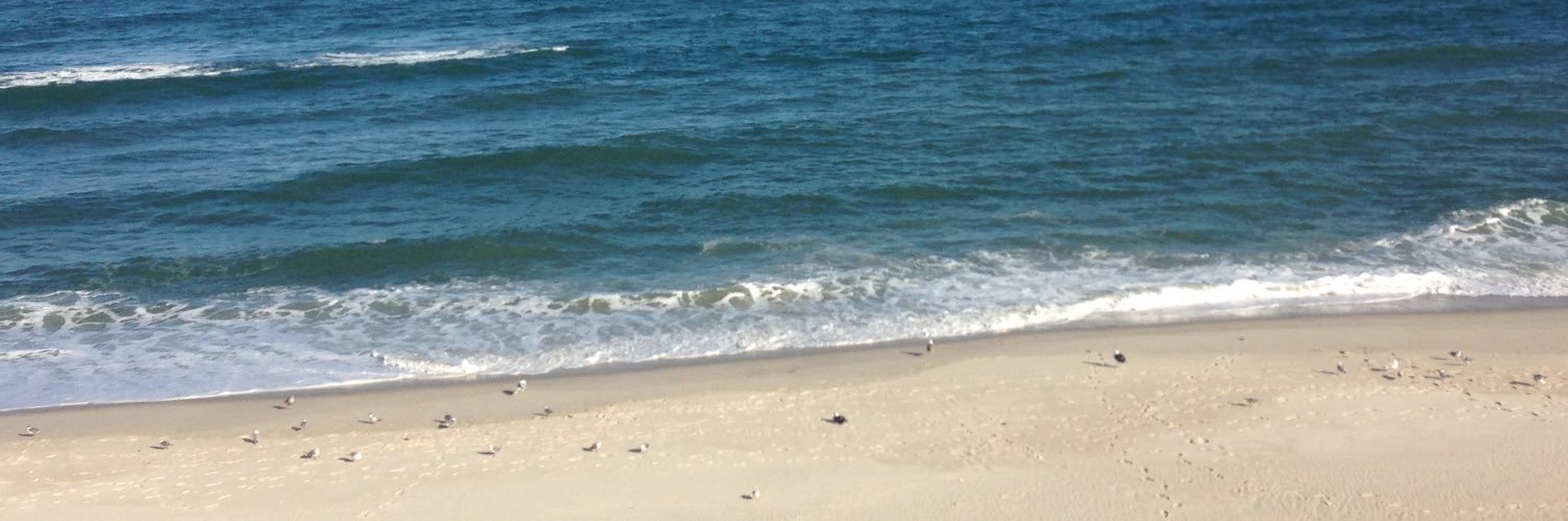 antshark22's profile banner image