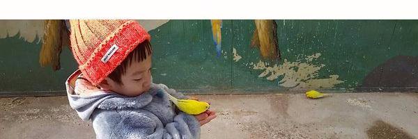 Seoeonieth's profile banner image