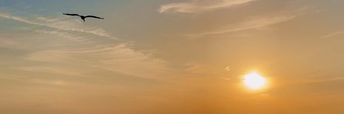 DannyMacNOLA's profile banner image