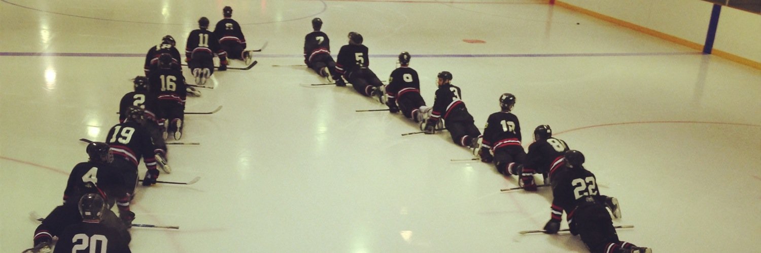 Regan Olson banner