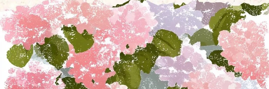 iidarya's profile banner image