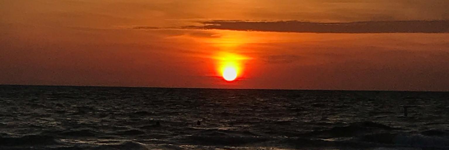 aromaticselixir's profile banner image
