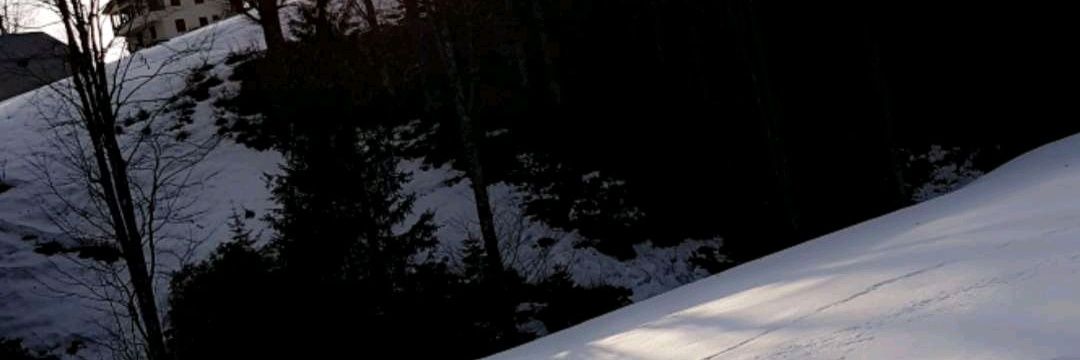 maajeed1's profile banner image