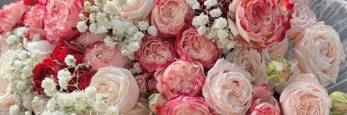 asya_naturally's profile banner image