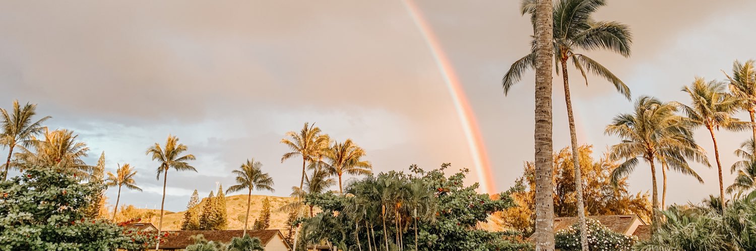 emschroath's profile banner image
