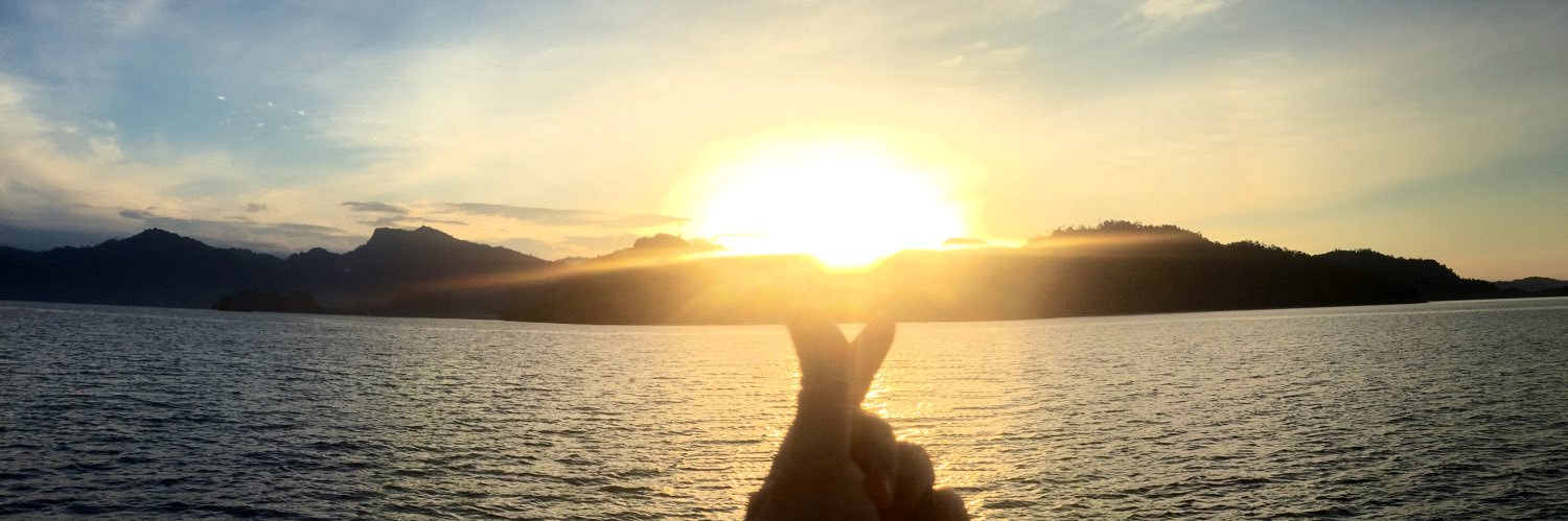 dwisarahnst's profile banner image