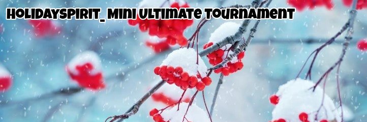 holidayspirit_'s profile banner image