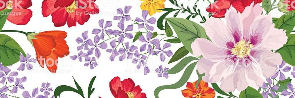 ClaraCamarma's profile banner image