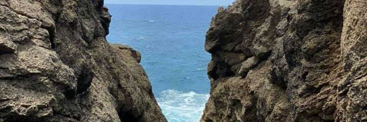 Rev. Digna A Marte, MRP, MDiv., MBA, ABD (She/Her) banner