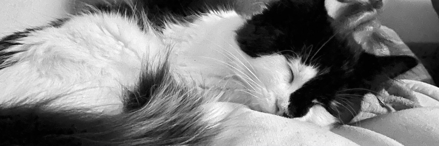 chlosamantha_'s profile banner image