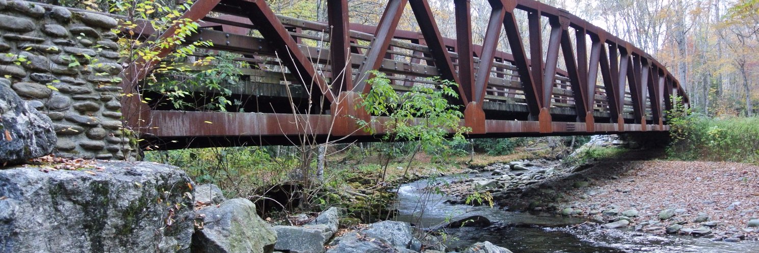 Michael Lintonen banner