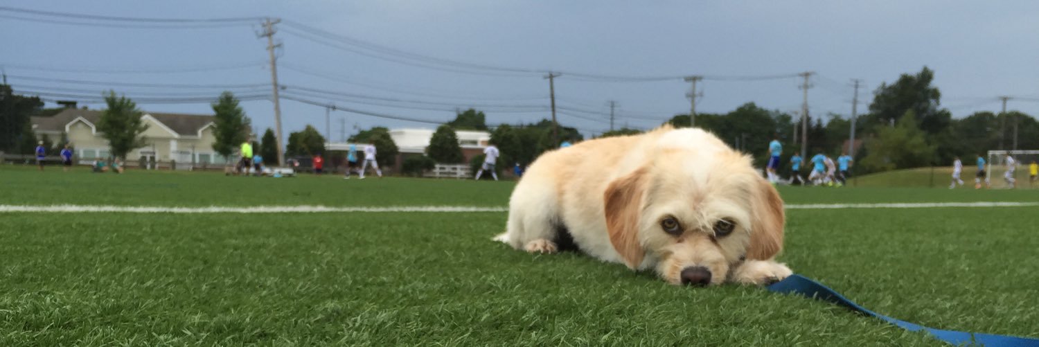 supadoppacoopaa's profile banner image