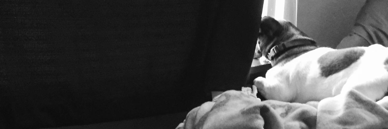 its_aiden_yo's profile banner image