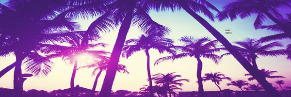 iagoweriquee's profile banner image