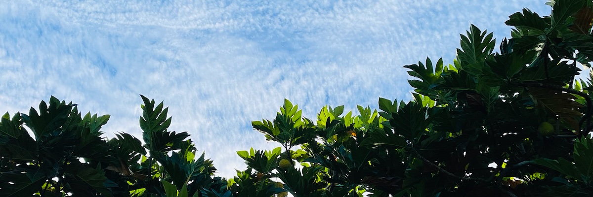 kuhao's profile banner image