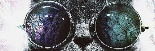 WevertonCanisk's profile banner image