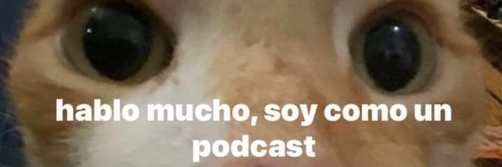 raafsmacedo's profile banner image