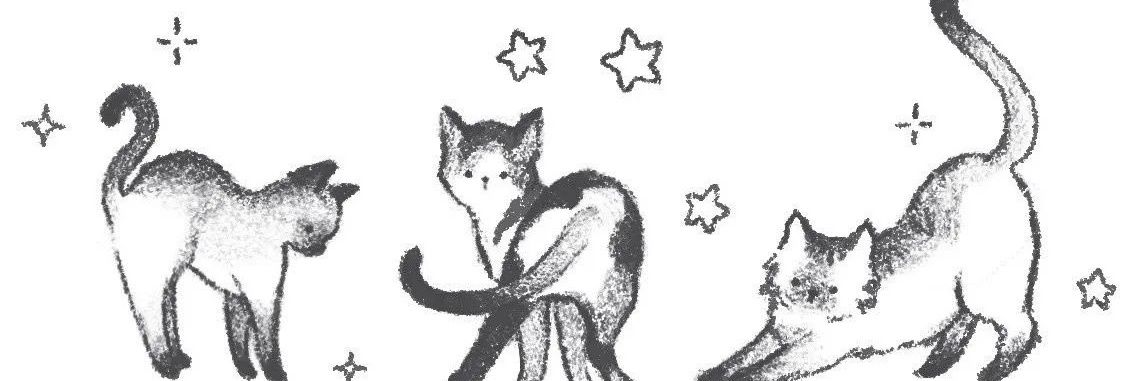 katanabby_'s profile banner image