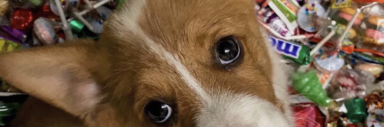 DemMeatSweats's profile banner image