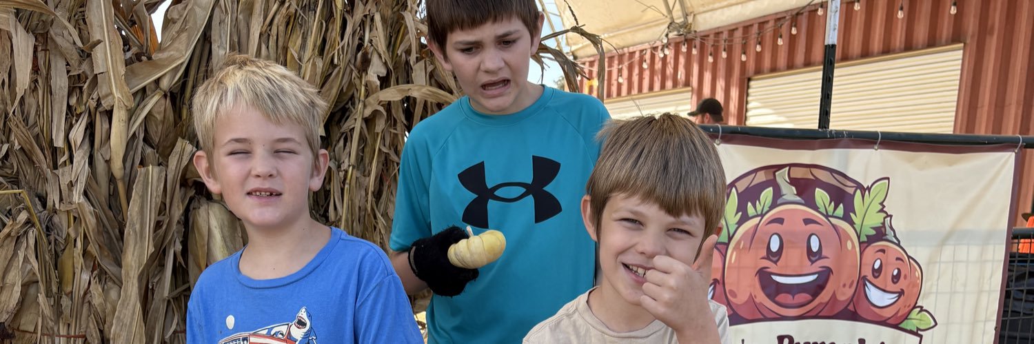 edevencenzi3's profile banner image
