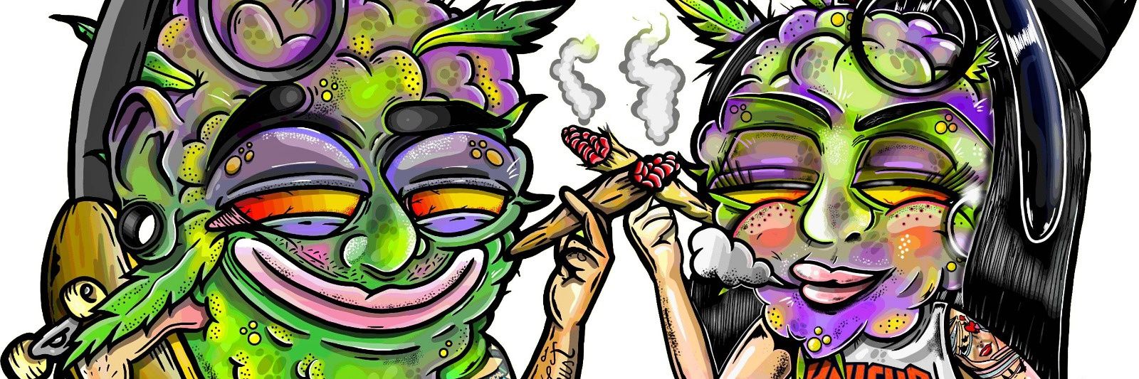 nomedomestiques's profile banner image