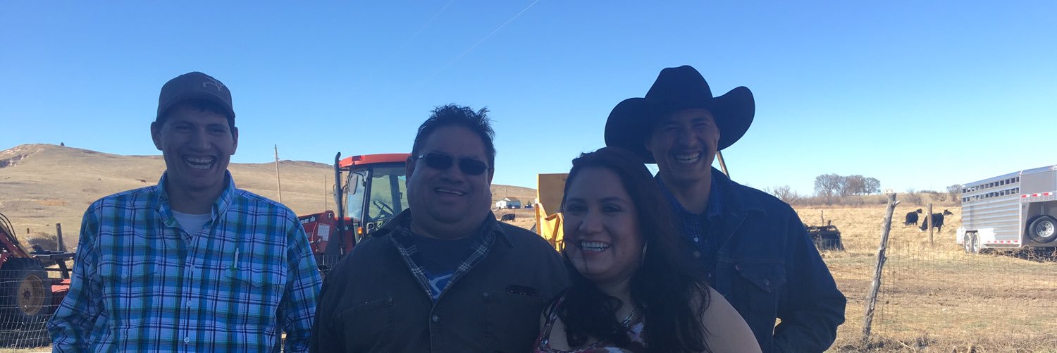 David Todd Janis banner