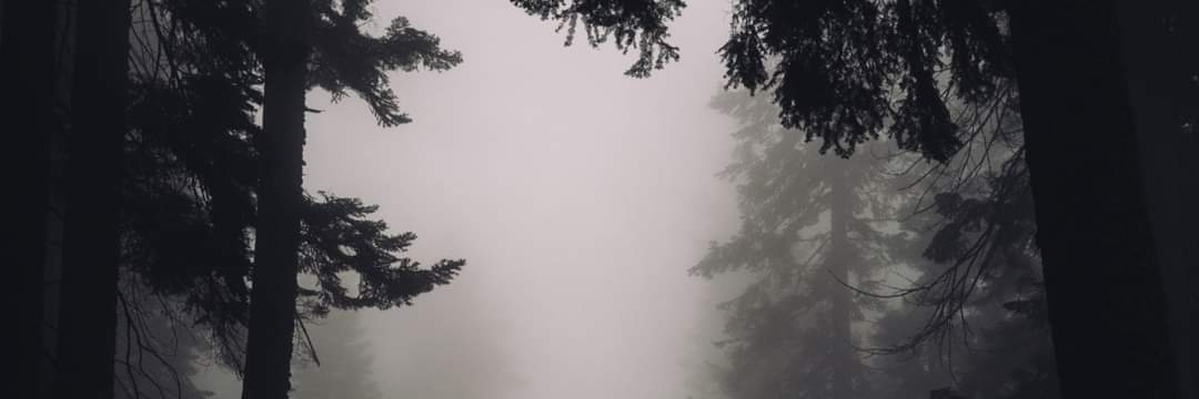 AuditoryRhythms banner