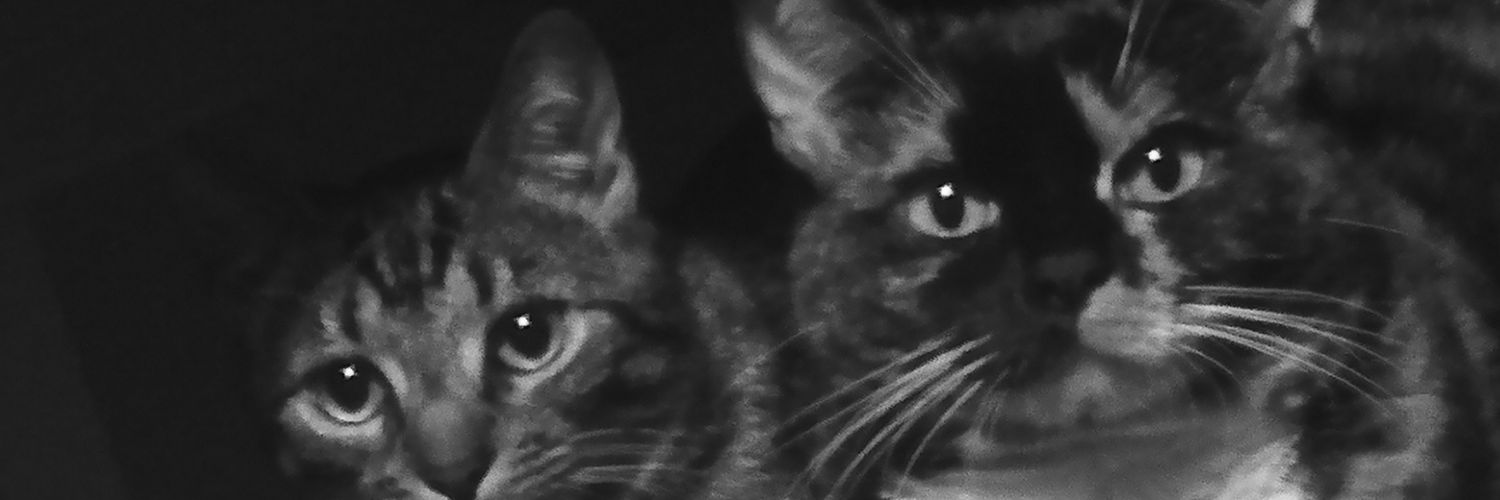 Karlwake's profile banner image