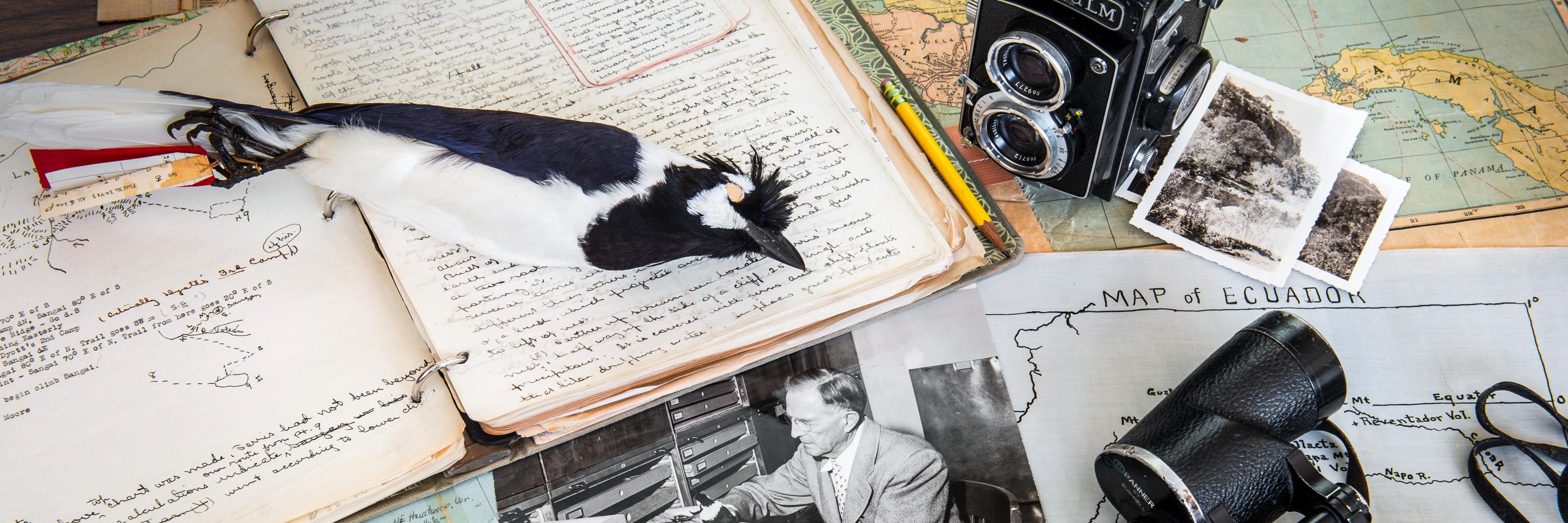 John McCormack banner