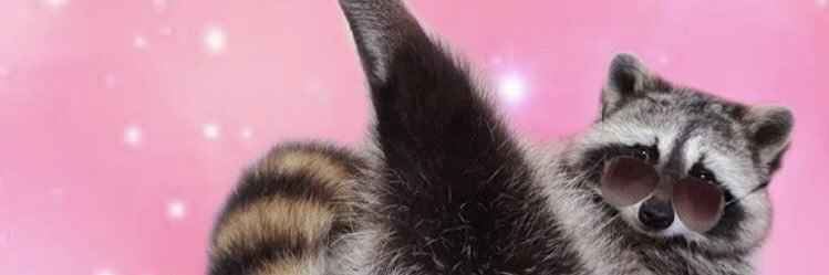 puffpuffpassive's profile banner image