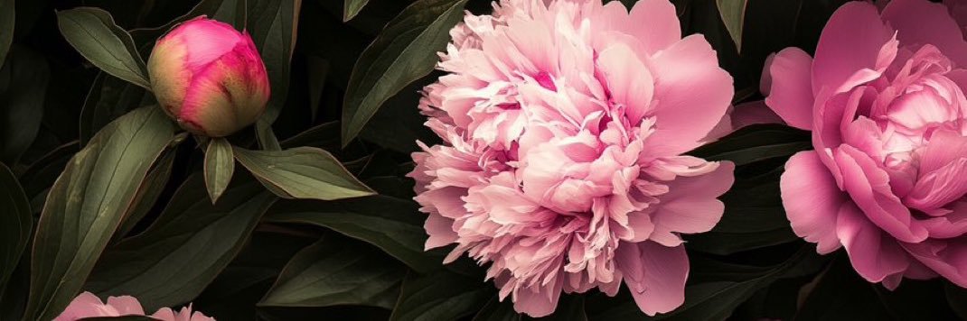 B ☀️ banner