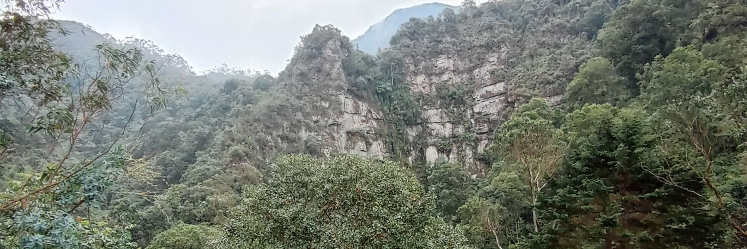 venda__val's profile banner image