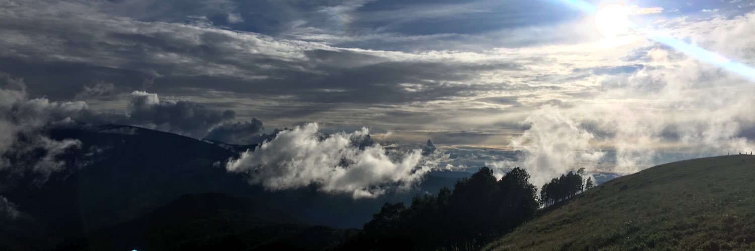 skyleranelson's profile banner image