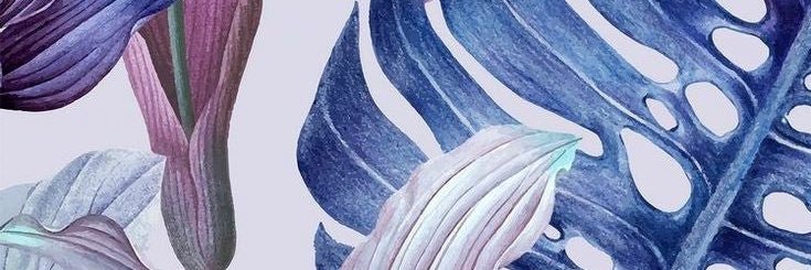 madjack443's profile banner image