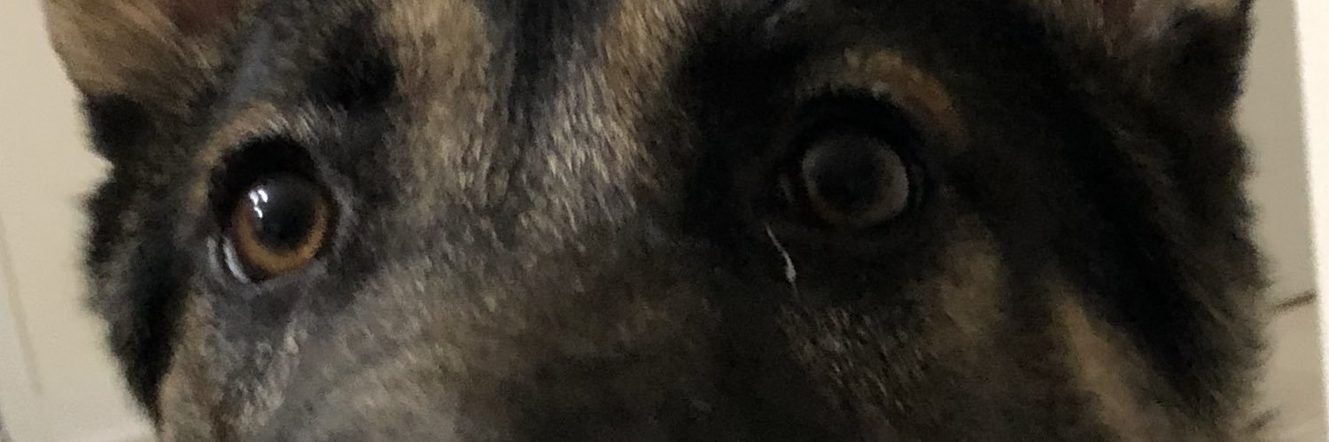 Machwp's profile banner image