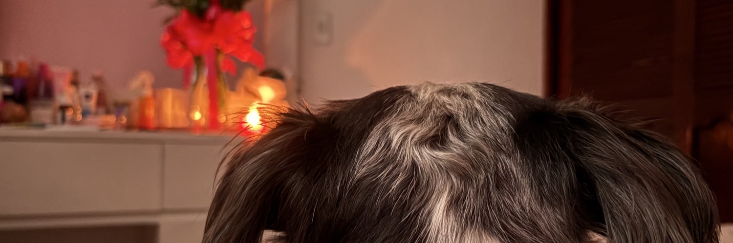 lauveeel's profile banner image