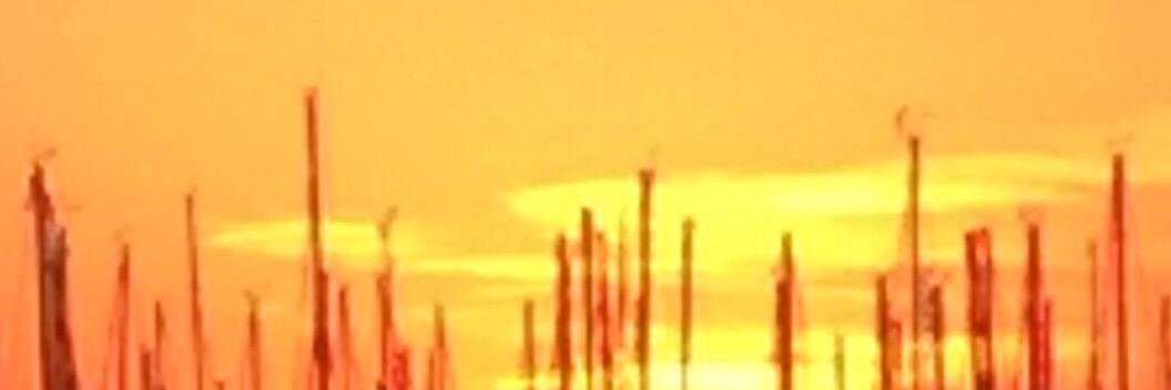 MichaelDWood's profile banner image