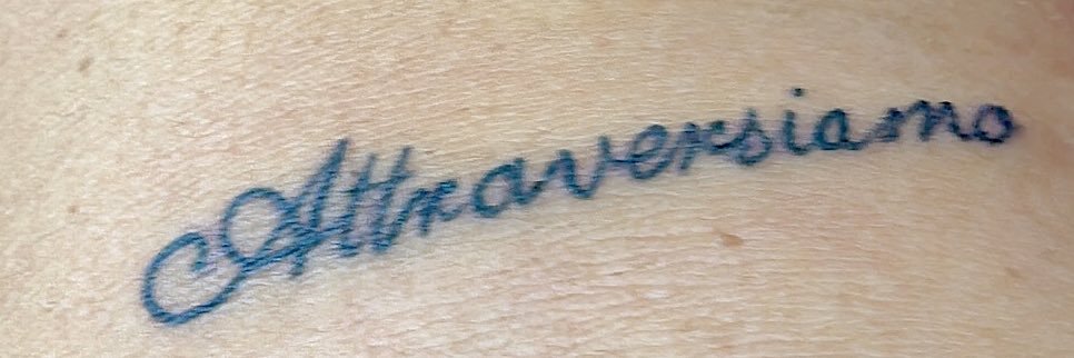 🧚🏽‍♂️ banner