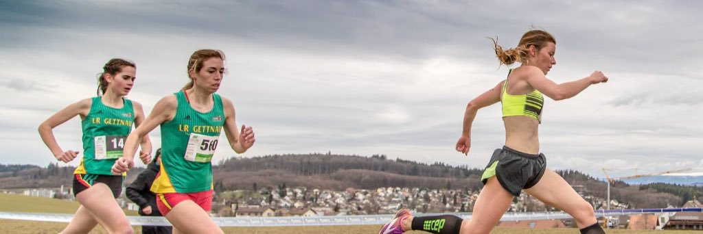TiniTinyRunner's profile banner image