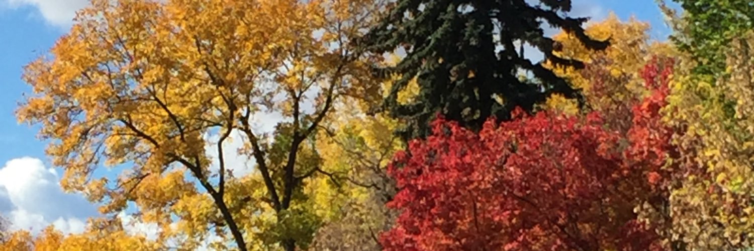 heatherboyko's profile banner image