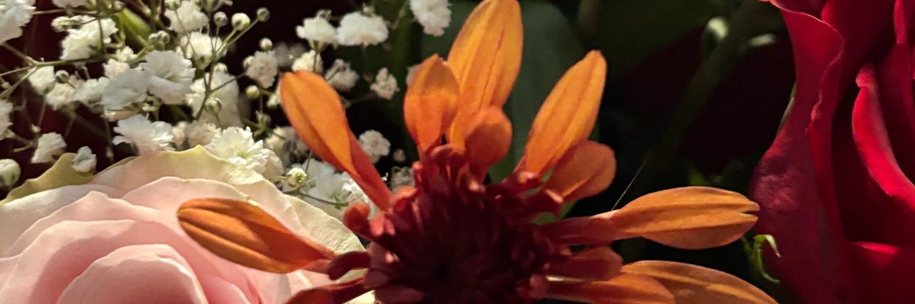 saintyveslwt's profile banner image