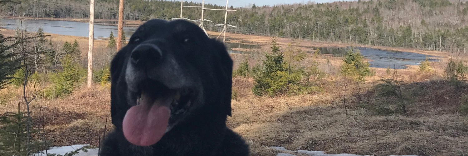 KenzTwoFour's profile banner image