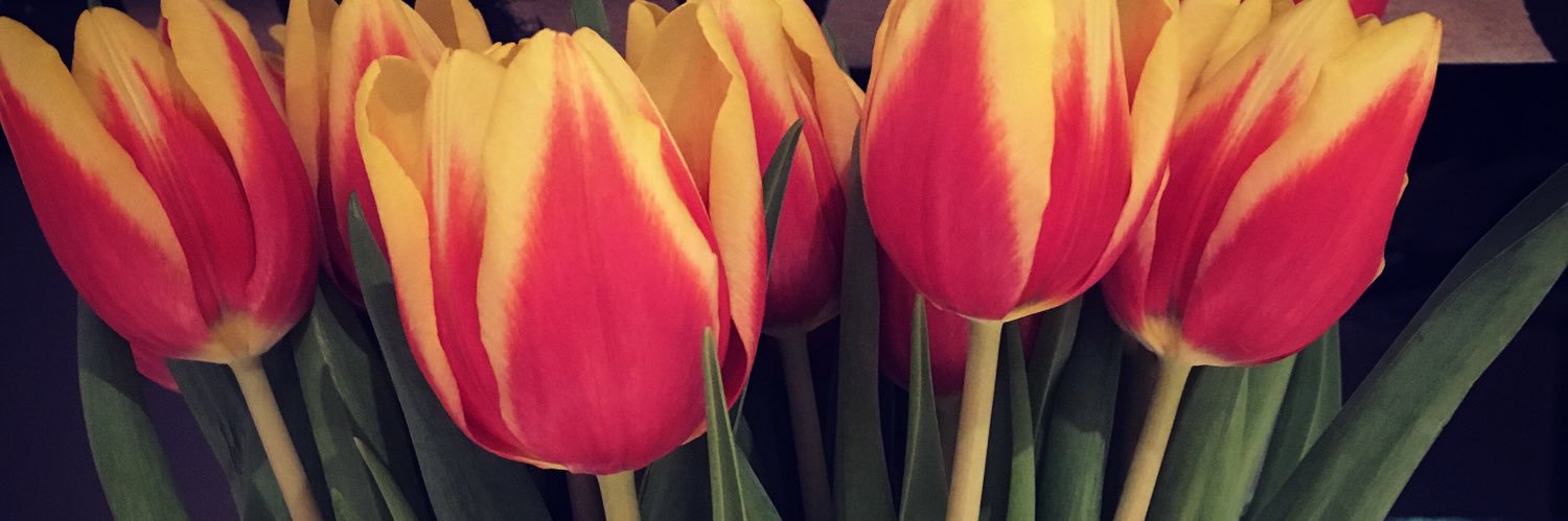 HollyRaby's profile banner image