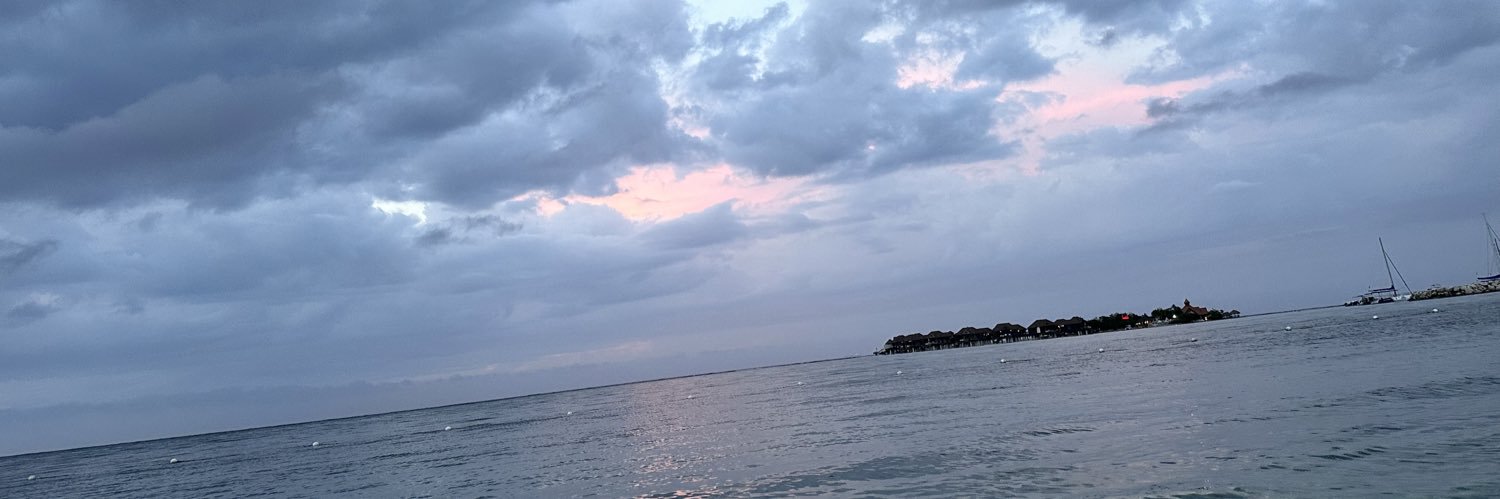 AriPutYouOn's profile banner image