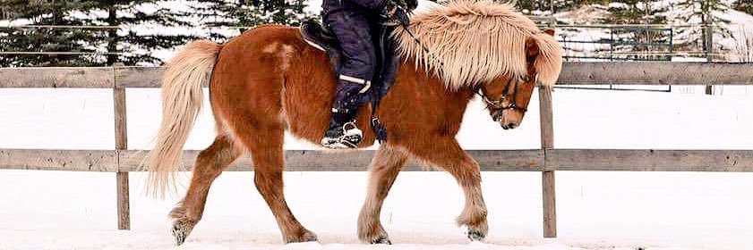 Beth McTaggart banner